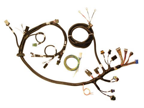 FAST Wiring Harness FAST MSD 2 Pin