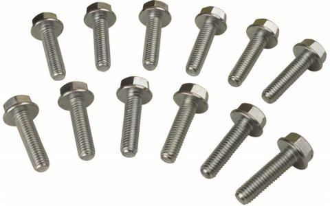Moroso GM LS Rear Seal Cover Bolts