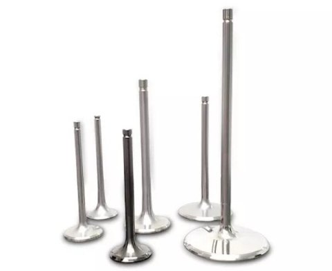 Ferrea 2004 Kawasaki/Suzuki 250 25mm Head 4.46mm Stem Dia Titanium Exhaust Valve - Set of 2