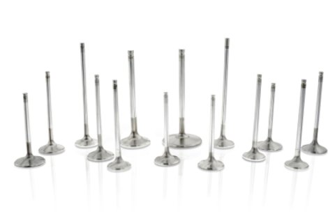 Ferrea Ford 302-351 (Yates Nascar Heads) 1.55 Head 0.2355in Stem Dia Comp Plus Int Valve - Set of 8