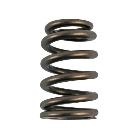 COMP Cams Valve Springs Ford 4.6L 4 Valve