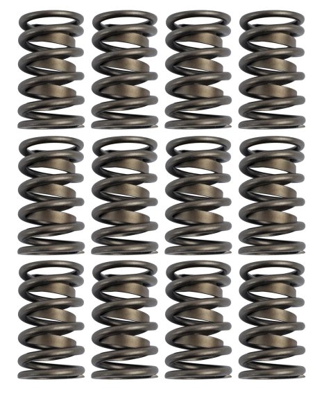 COMP Cams Valve Springs 1.430in Outer W/