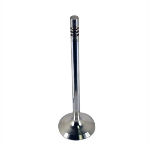 Ford Racing Coyote 5.2L Lightweight Intake Valve - Set of 8