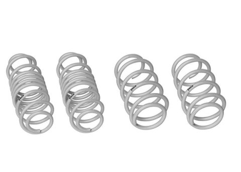 Whiteline 2011-2019 Ford Fiesta Performance Lowering Spring Kit - Ford Fiesta
