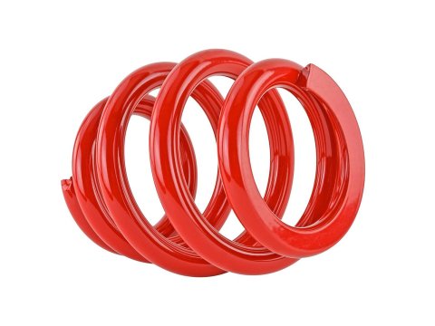 Skunk2 Universal Race Spring (Elliptical) - 6 in.L - 2.5 in.ID - 14kg/mm (0600.250.014E)