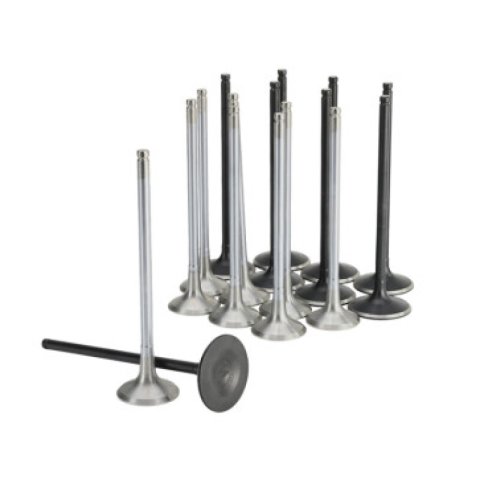 Skunk2 Honda K20C1 Alpha Series Intake & Exhaust Valve Set (Standard Compression)