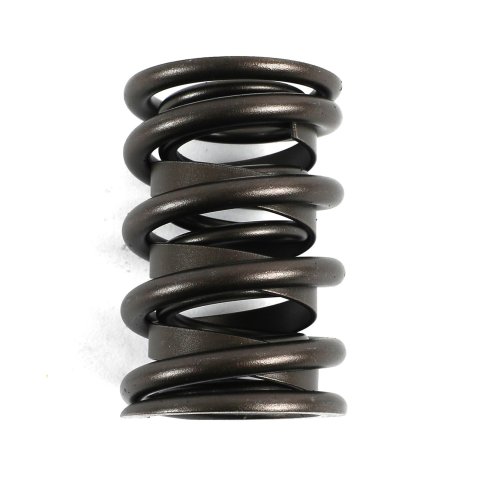 COMP Cams Valve Springs 26929-16 Springs, Dual, 1.560 in. O.D., Set of 16