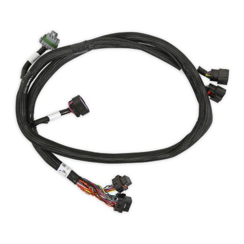 Holley Wiring Harnesses 558-220 Harnesses, EFI, GM Gen V, GDI Early, Sub-Harness, Direct Injection, Pre-Terminated, 4-pin Fuel Sensor, GM, Early LT Based, Engines, Each