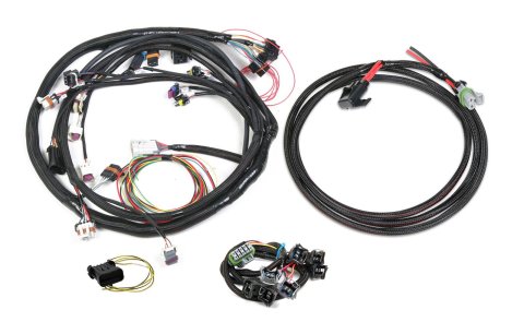 Holley EFI Systems Wiring Harnesses 558-508 Fuel Injection System Harnesses, EFI, Ford V8, Universal MPFI, with Main, Power, Injector Harnesses, for HP, Dominator ECU, Kit