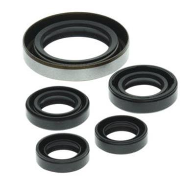 Quadboss Oil Seals 564349 QuadBoss 06-07 Polaris Outlaw 500 Seal Set