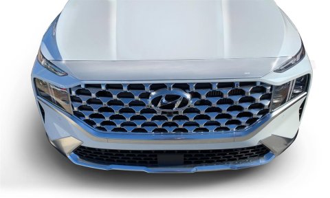 Auto Ventshade Aeroskin Deflectors 622197 Bug Guard, Deflector, ABS Plastic, Chrome, Hyundai, Each