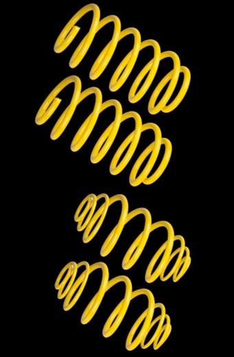 ST Suspensions Coil Springs 68535 Lowering Springs, Muscle Car, Heavy Duty, Stock Height