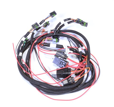 FAST XR-1A High-Output Ignition Coil Harnesses 30367 wiring harness COIL HARNESS, COYOTE, COILS