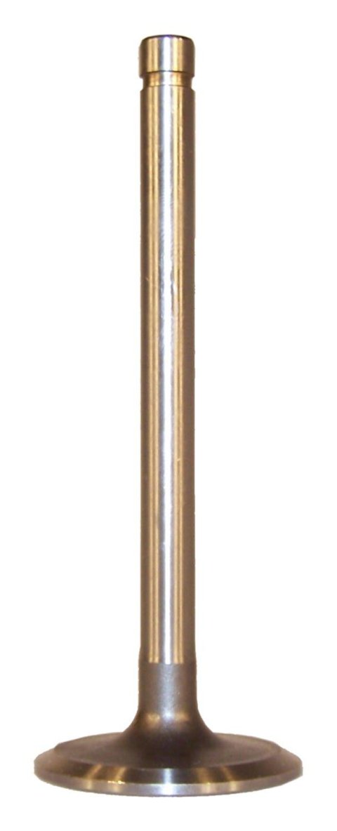 Crown Automotive Valves J3240768 Intake Valve,