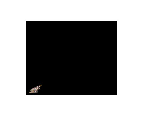 Nose - MD3 - Center - 48 in x 48 in - 0.125 in Thick - Plastic - Black - Dirt Modified - Each