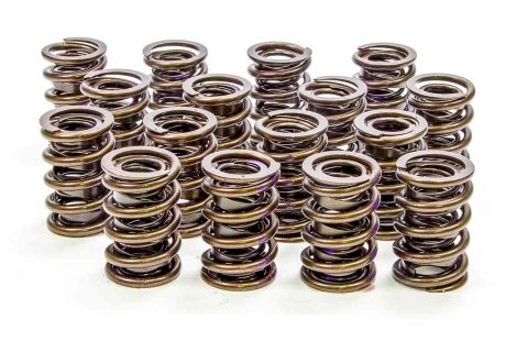 Valve Spring - Dual Spring / Damper - 480 lb/in Spring Rate - 1.130 in Coil Bind - 1.550 in OD - Set of 16