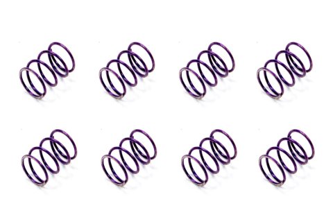 Tire Pressure Relief Valve Spring - Next Generation - Heavy - Set of 8