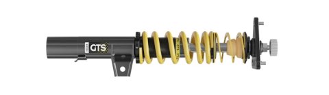 Coil-Over Conversion Kit - GTS - Twintube - Single Adjustable - Steel - Gray Powder Coat - BMW 3 Series 2006-12 - Kit