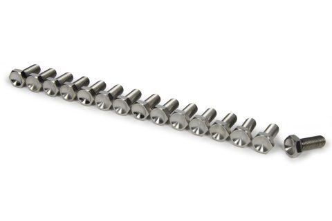 Wheel Center Bolt Kit - 5/16-24 in Thread - 1 in Long - Hex Head - Titanium - Natural - Set of 15