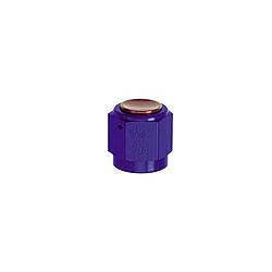 Fitting - Cap - 10 AN - Aluminum - Blue Anodized - Each