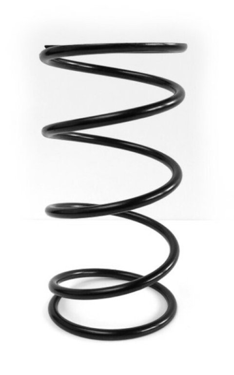 EPI 98+ Polaris EBS Clutches ATV Secondary Spring Black H.D.