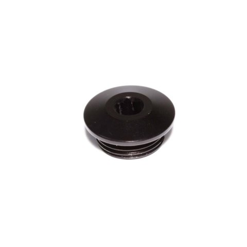 Edelbrock ALUMINUM PORT PLUG, -12AN