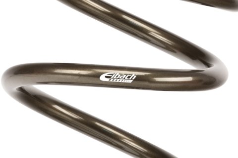 Eibach ERS 20in L x 3.50in OD Platinum Rear Spring - 70 lbs/in