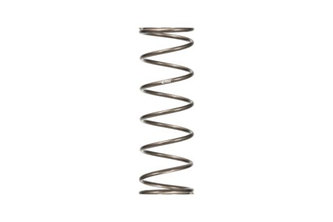 Eibach ERS 18in L x 5.00in OD Platinum Rear Spring - 88 lbs/in