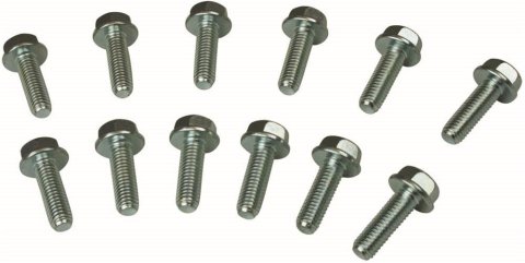 Moroso GM LS Header Bolts
