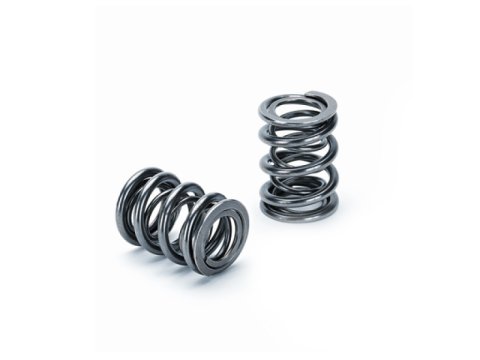 Supertech Honda H22A1/H22A4 Dual Valve Spring - Single (Drop Ship Only)