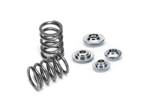Supertech Audi V10 (40V) Single Valve Spring Kit