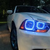 Oracle Dodge Charger 11-14 Halo Kit - ColorSHIFT w/o Controller thumbnail 9