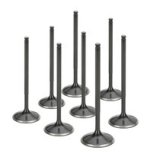Supertech Peugeot 206 TU5JP4 Black Nitrided Intake Valve - Single (Drop Ship Only) thumbnail 2