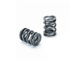 Supertech Honda H22A1/H22A4 Dual Valve Spring - Single (Drop Ship Only) thumbnail 2