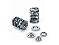 Supertech GM ECOTEC 2.0L Dual Valve Spring Kit (Requires Smaller Seal) thumbnail 2