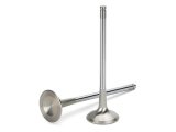 Supertech VW 1.8L/2.0L 8V Inconel Exhaust Valve - +0.5mm Oversize - Set of 4 thumbnail 1