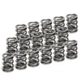 Supertech Honda H22A1/H22A4 Dual Valve Spring - Set of 16 thumbnail 2