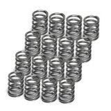 Supertech Toyota 4AGE 16V Dual Valve Spring - Set of 16 thumbnail 2