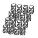 Supertech Honda ZC/D16A1/D16A9 DOHC Single Valve Spring - Set of 16 thumbnail 1