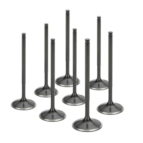 Supertech Honda F22A SOHC Non-VTEC Black Nitrided Intake Valve - Set of 8 thumbnail 1