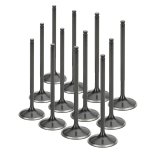 Supertech Subaru EZ30 H6 (2nd Gen) 35mm Head Diameter Black Nitrided Intake Valve - Set of 12 thumbnail 1