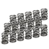 Supertech GM ECOTEC LSJ 2.0L/2.2L/2.4L Dual Valve Spring - Set of 16 thumbnail 1