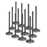 Supertech Honda NSX 36x5.48x112.15mm SS Blk Nitrided Intake Racing Valve - Set of 12 thumbnail 1