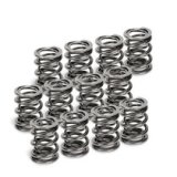 Supertech VW VR6 Dual Valve Spring - Set of 16 thumbnail 2