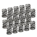Supertech VW VR6 Dual Valve Spring - Set of 20 thumbnail 1