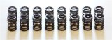 HKS 91-00 Infiniti G20 SR20DET Outer Valve Spring Set thumbnail 1