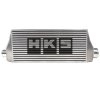 HKS I/C R-type W600 BNR32-34 RB26DETT thumbnail 2