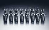 HKS 85-91 Toyota Corolla GTS / 85-89 MR2 Valve Spring Set thumbnail 2