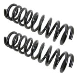 MOOG 1964 Buick Special Front Coil Springs thumbnail 1