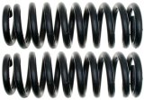 MOOG 96-07 Toyota 4Runner Front Coil Springs thumbnail 2